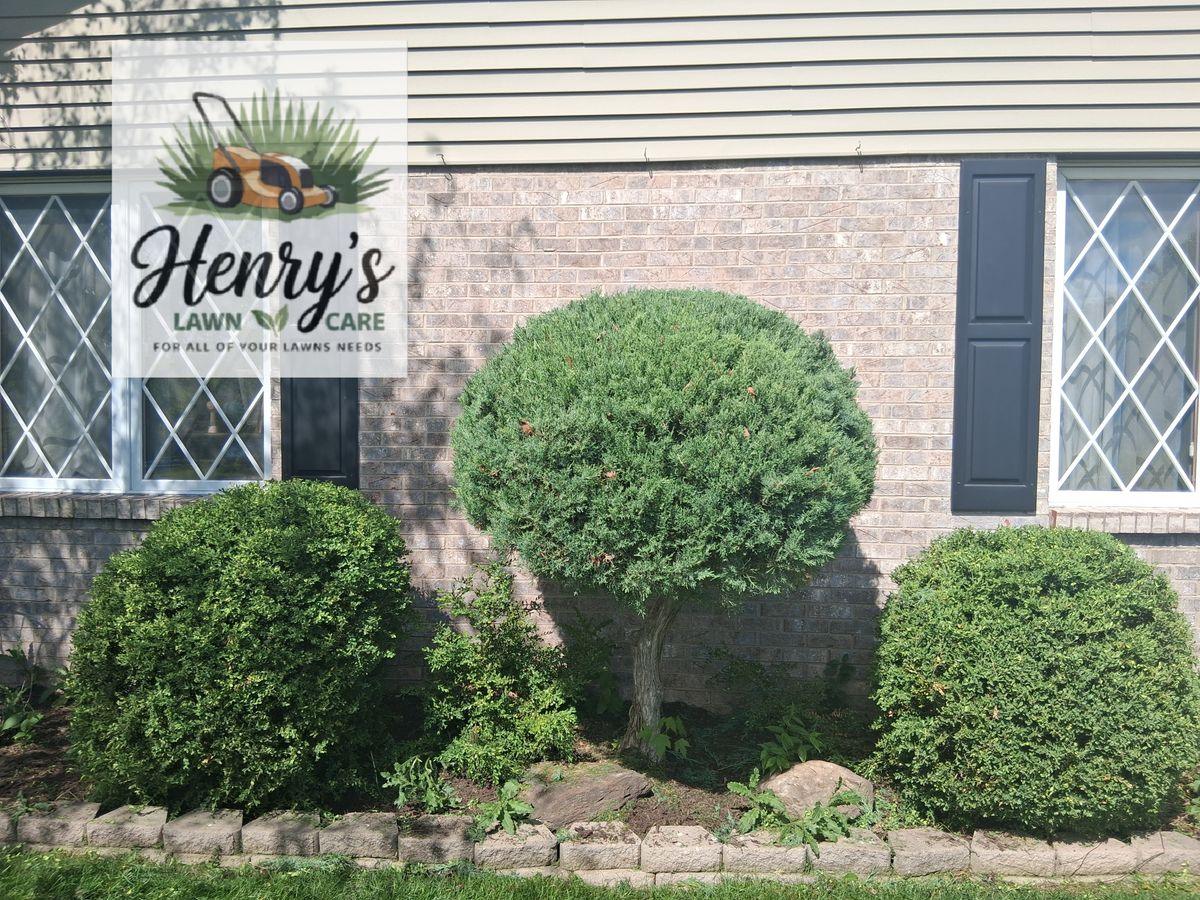 Shaped shrubs and stone edging in front of a Rockford, IL home